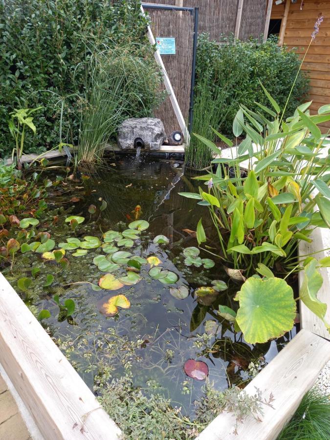 Appartement 3 Eme Etage Avec Piscine Partagee Sedán Exterior foto